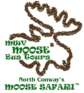 Mwv Moose Bus Tours